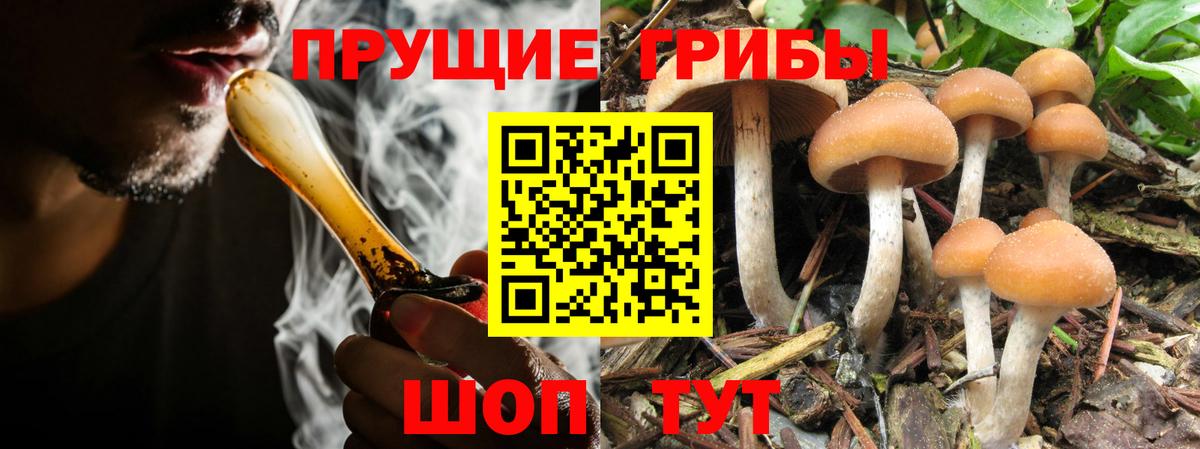Галлюциногенные грибы Magic Shrooms Севастополь